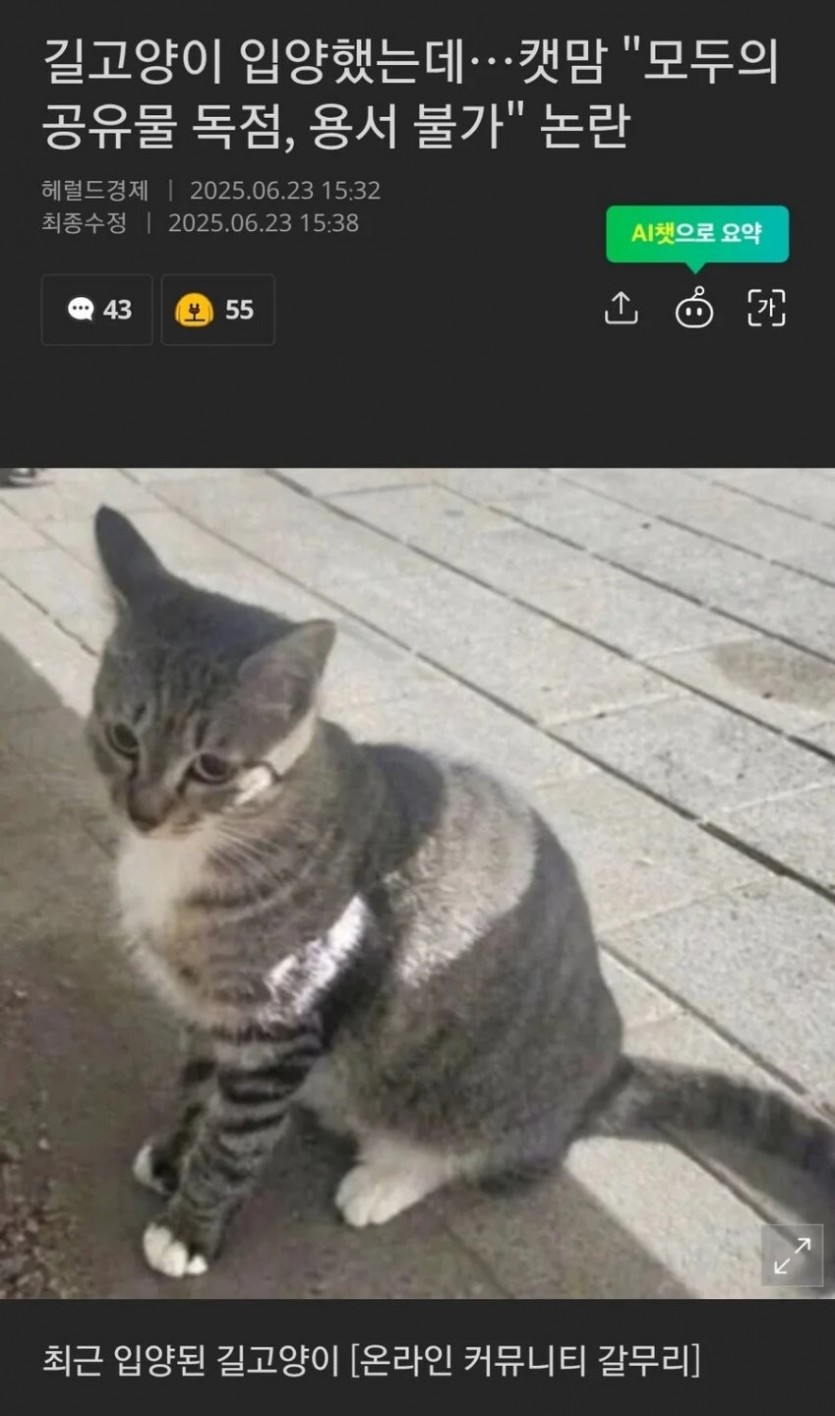 17508996465657.jpg