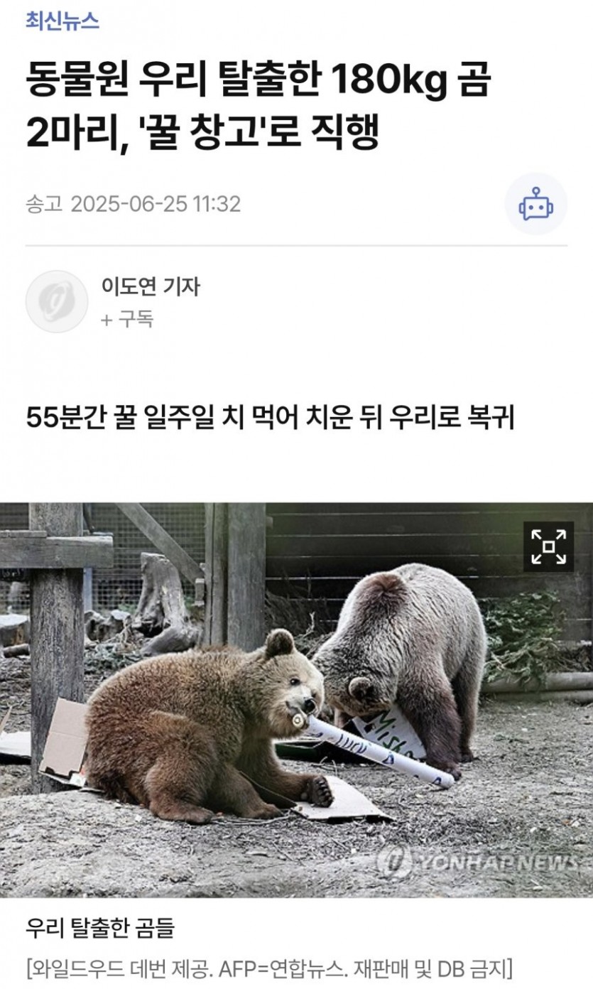 17509428382789.jpg