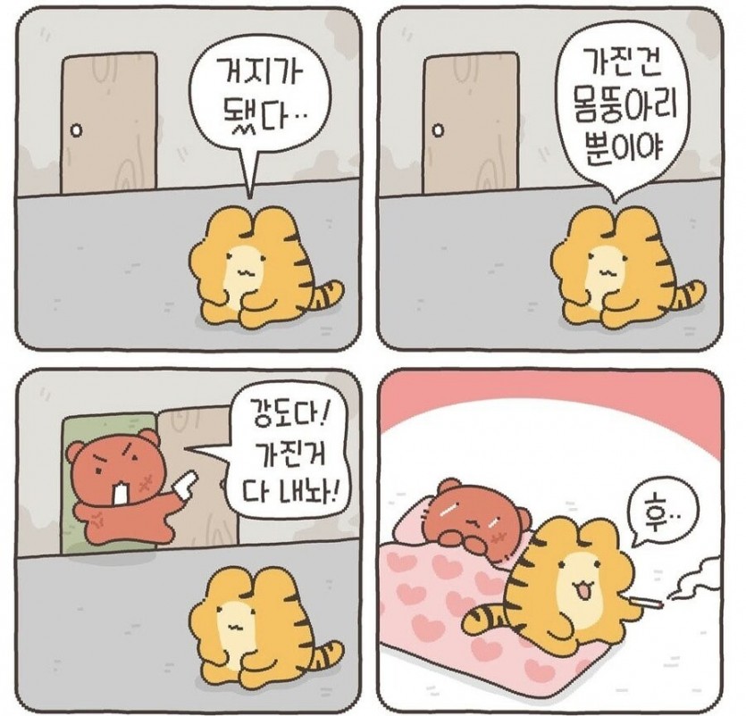 17526384380817.jpg