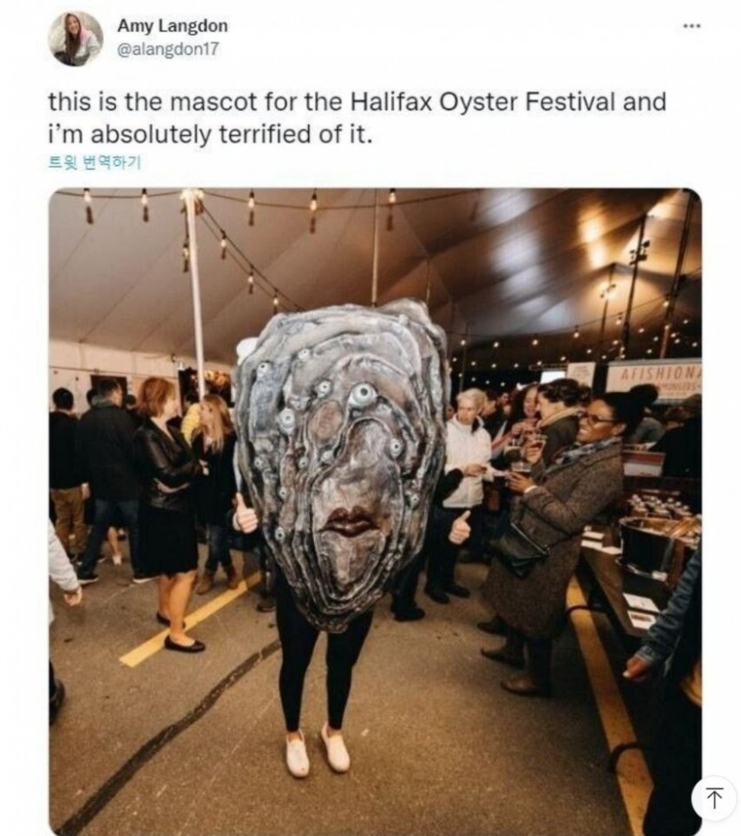17532756511687.jpg