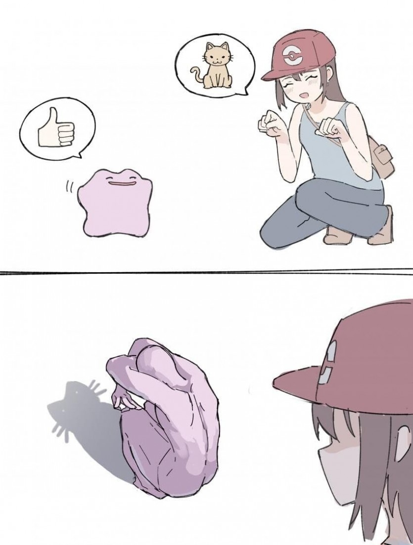 17546256494576.jpg