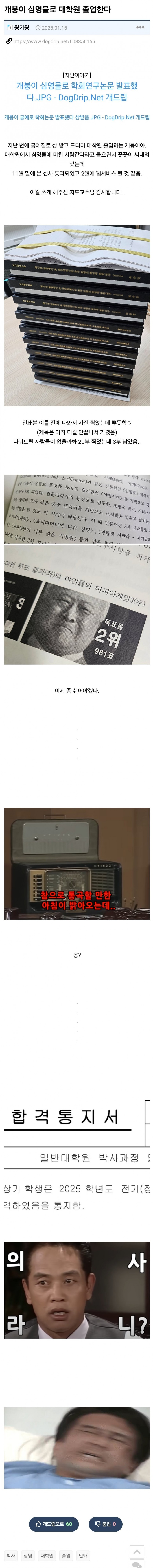 17585028354794.jpg