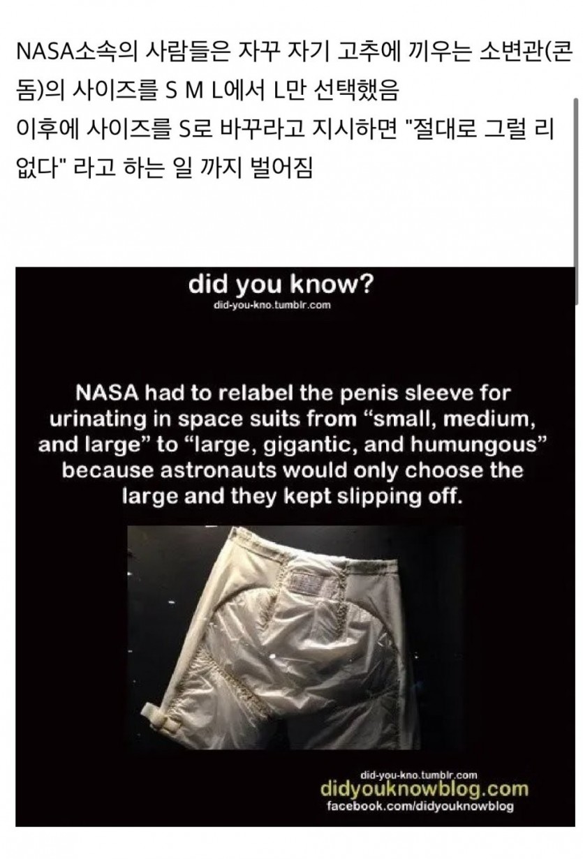 1758546021543.jpg