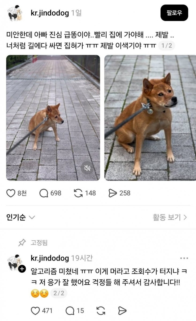 17606736453352.jpg