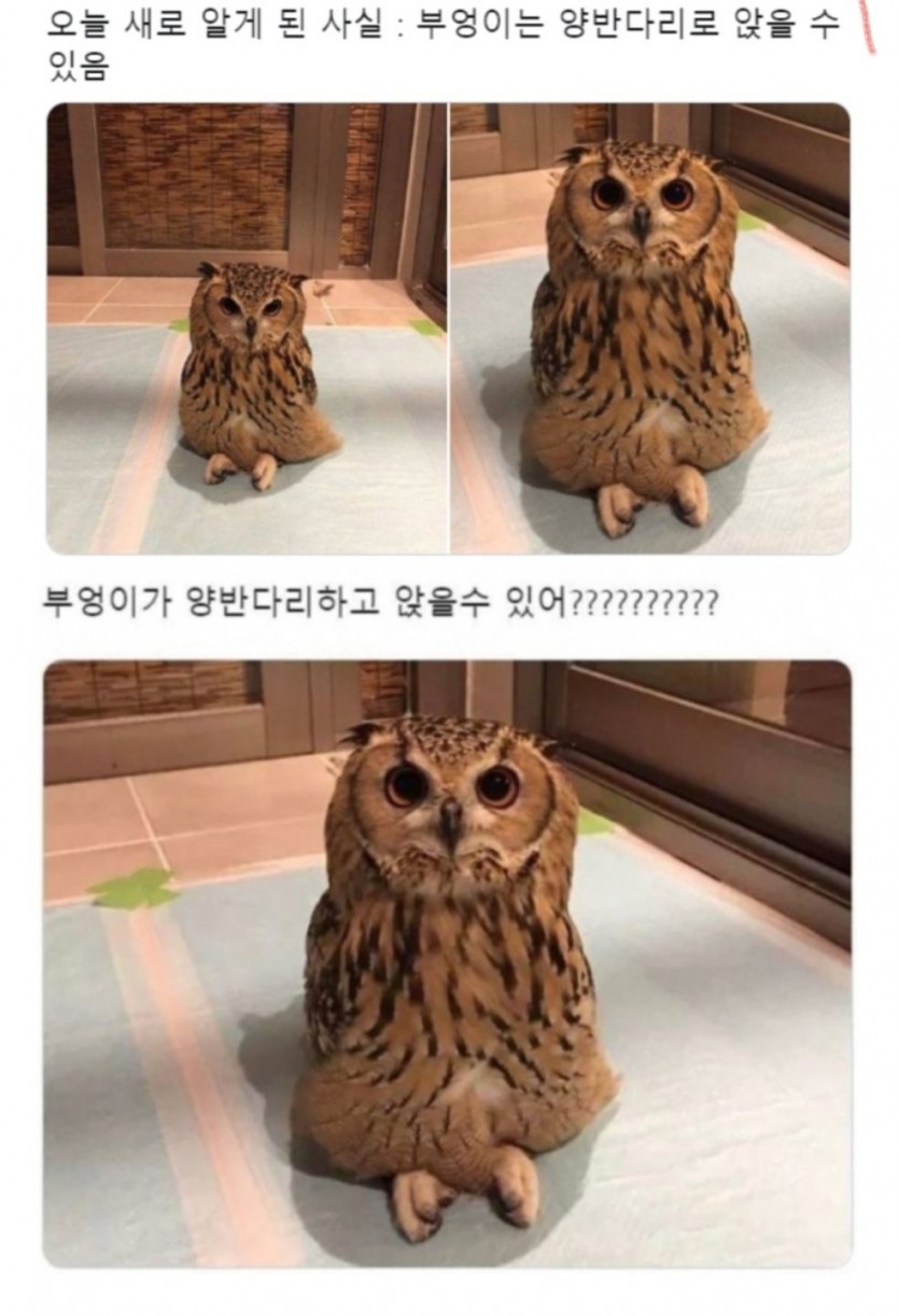 17611812485413.png