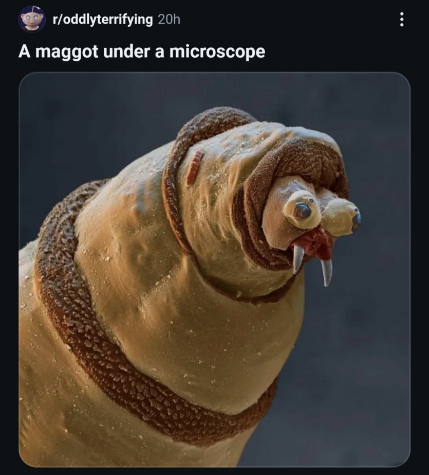 17783856594285.jpg