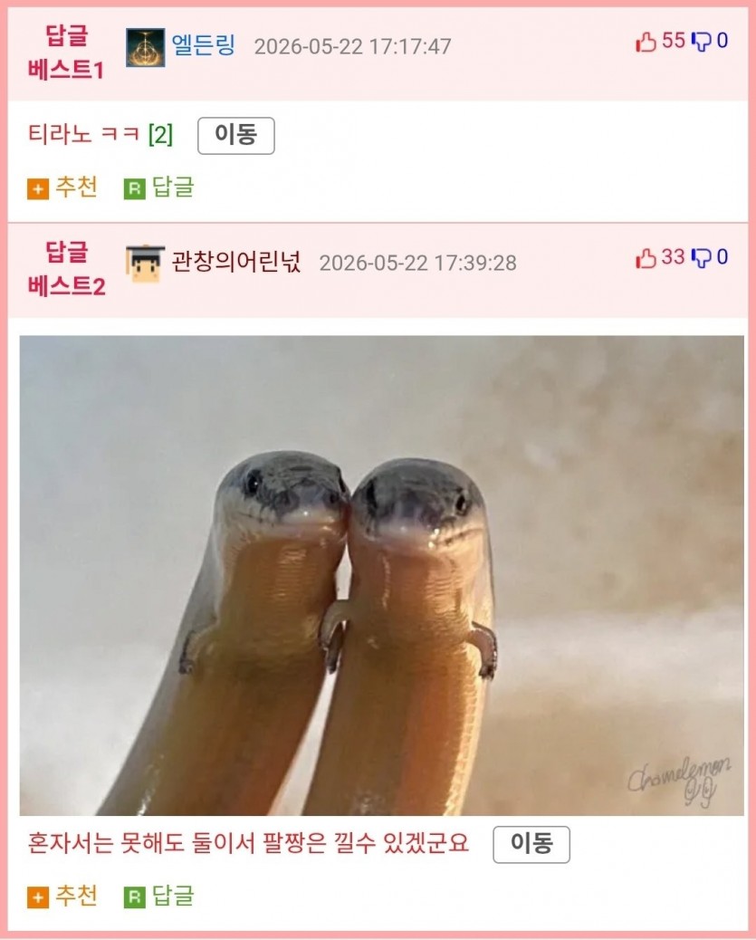 17795088561836.jpg