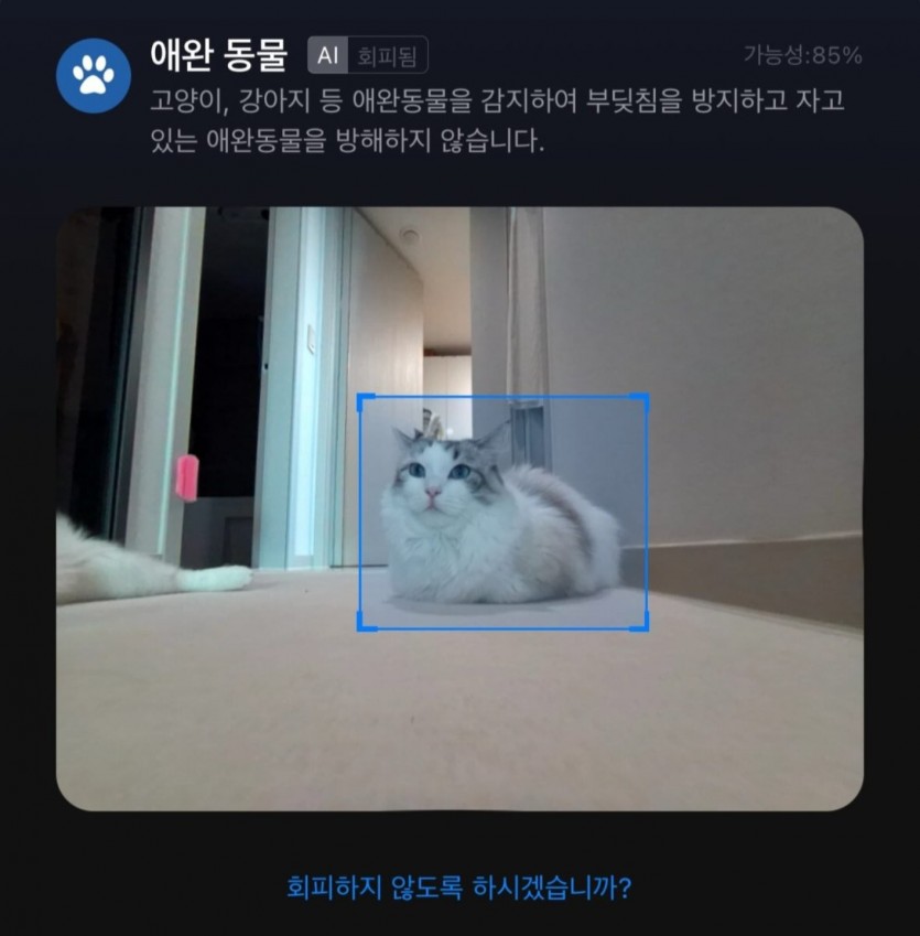 17800164544763.jpg