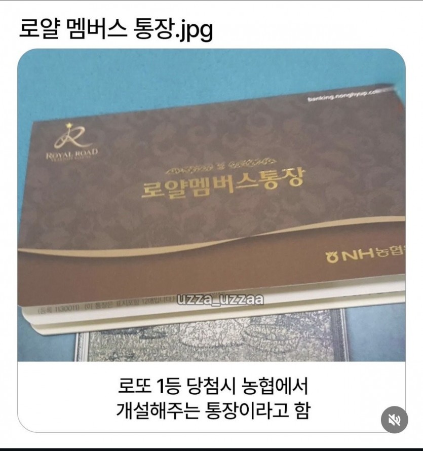 17805348384252.jpg