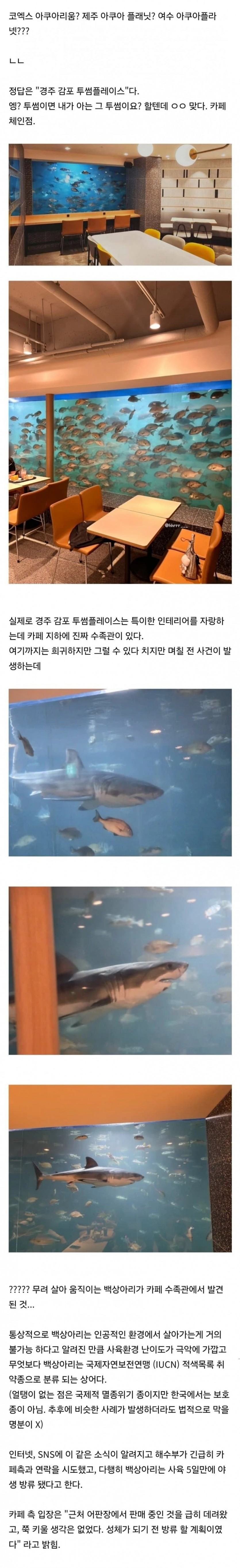 17807940680218.png