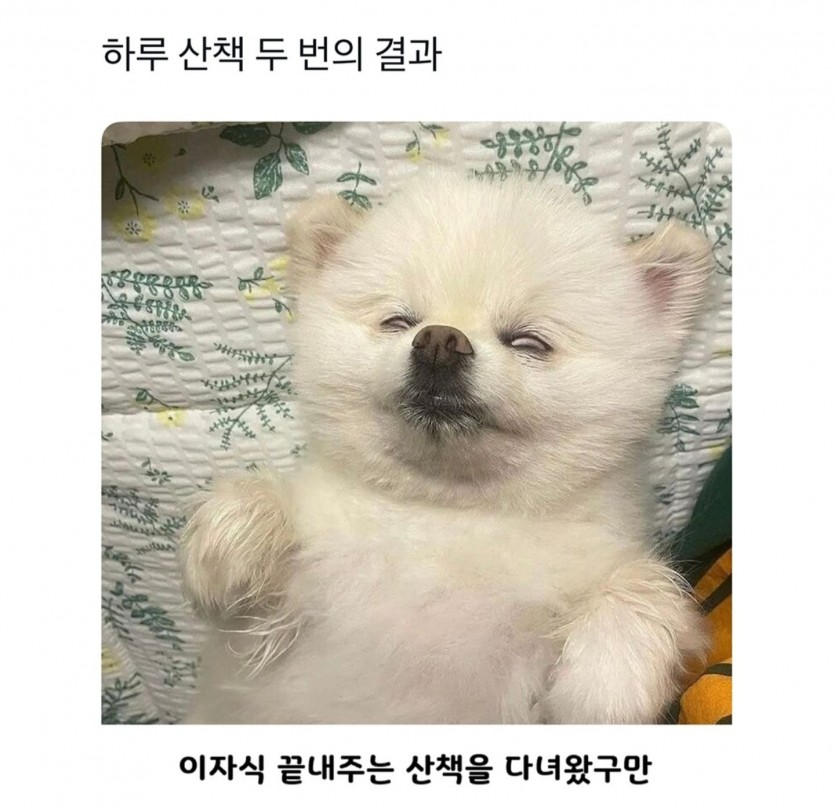 17808912429526.jpg