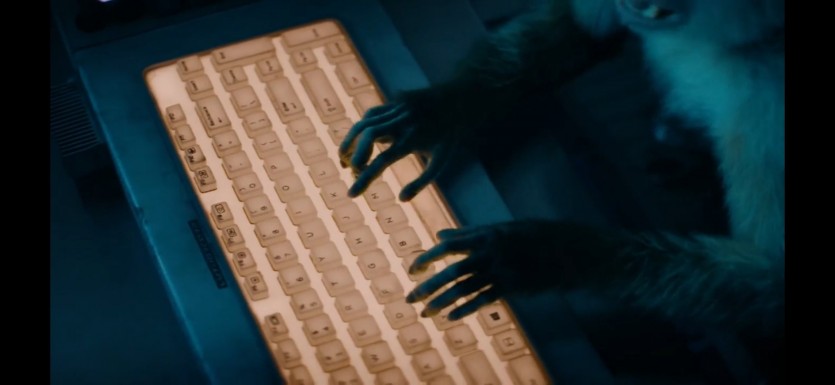 17809236632844.jpg
