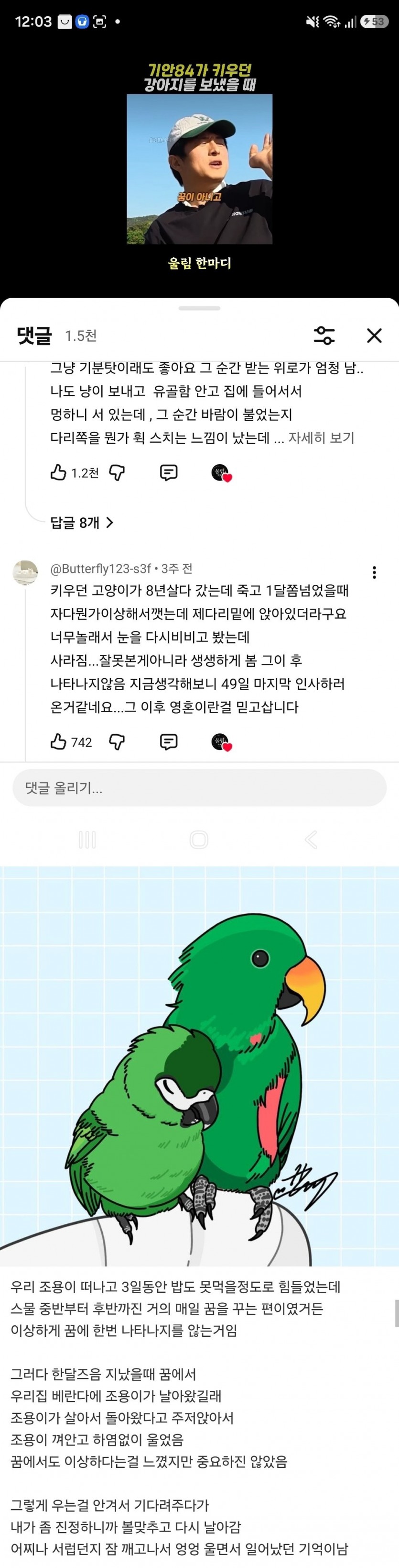 17809236712224.jpg
