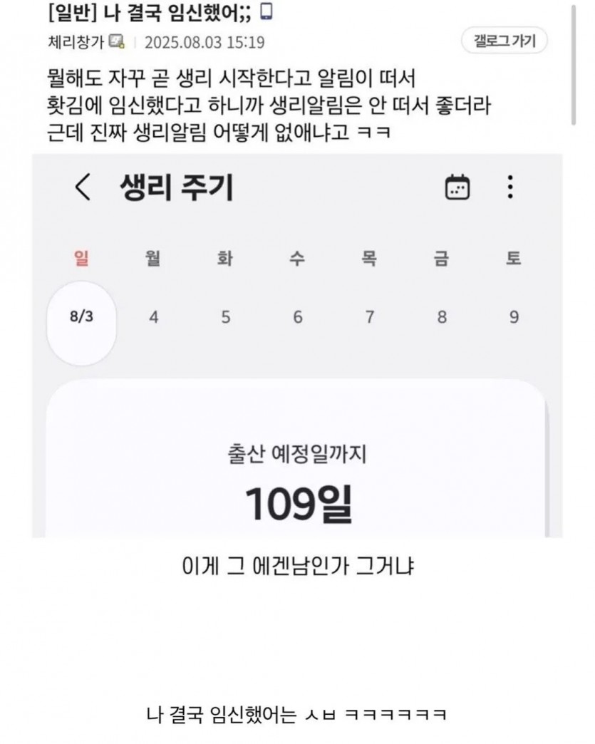 17813556319088.jpg