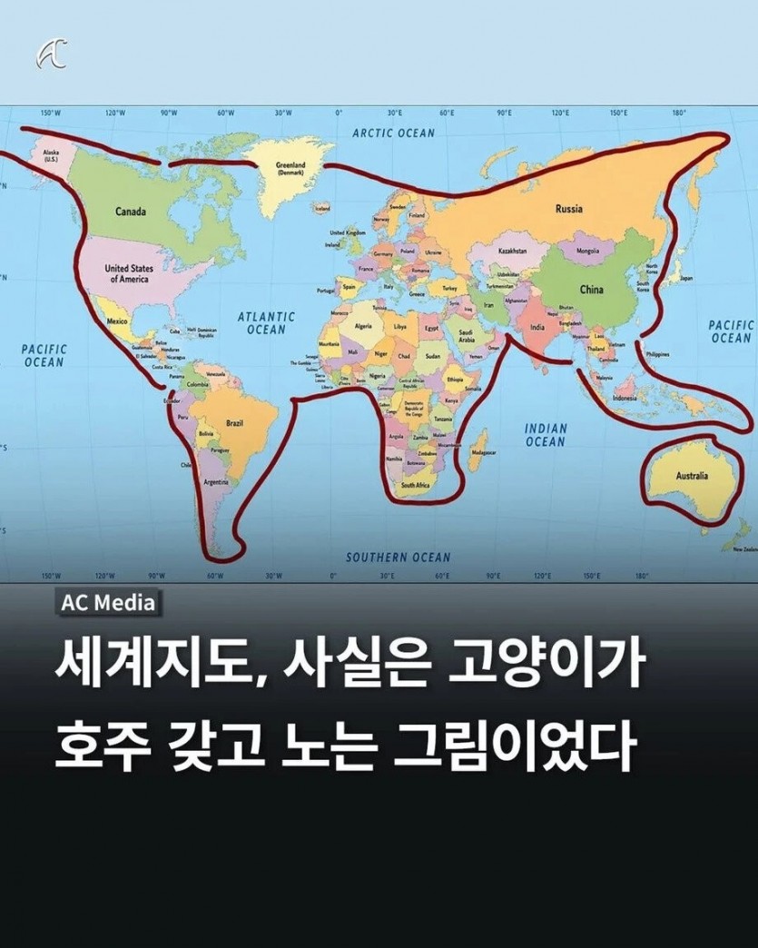 1782306015705.jpg