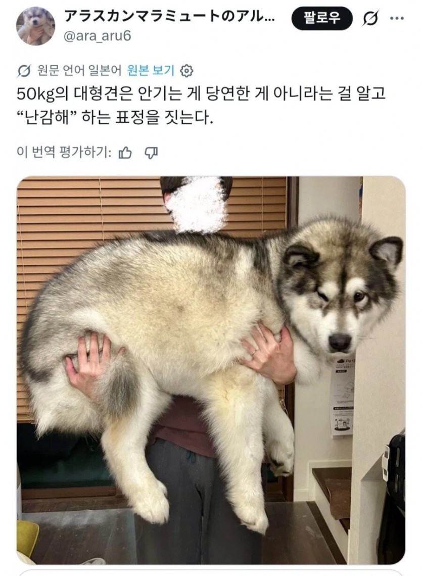 17835156545405.jpg