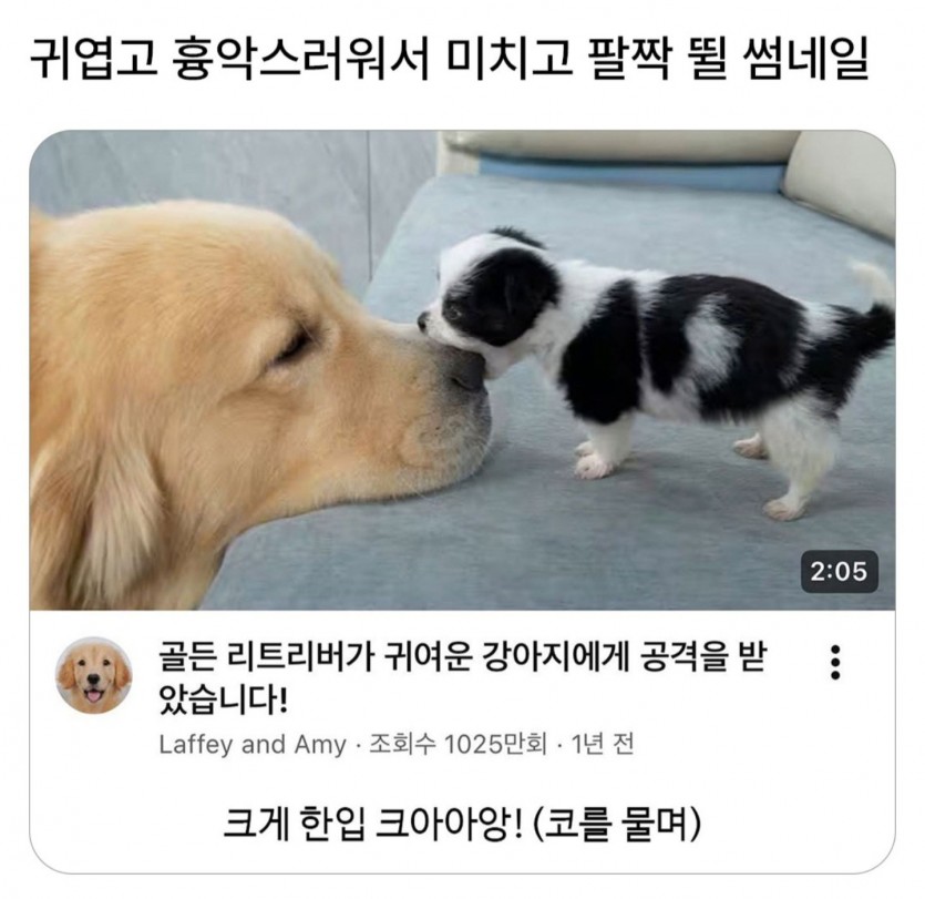 17836884035369.jpg