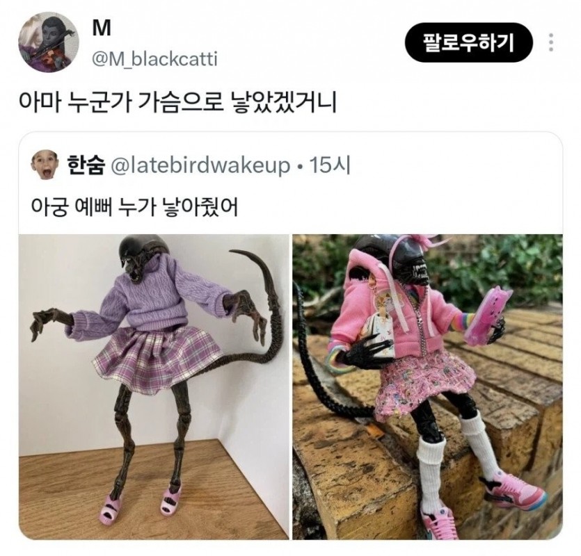 1784077261061.jpg