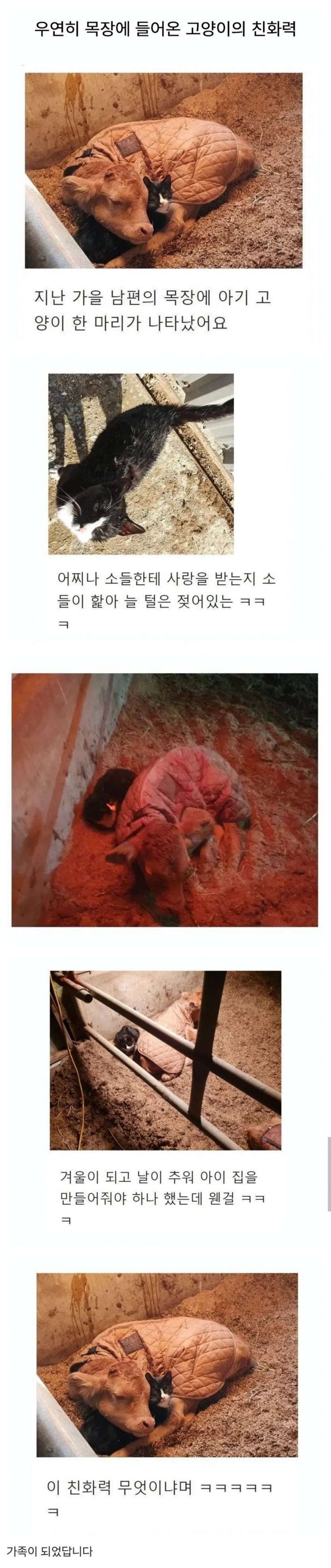 1784088056894.jpg