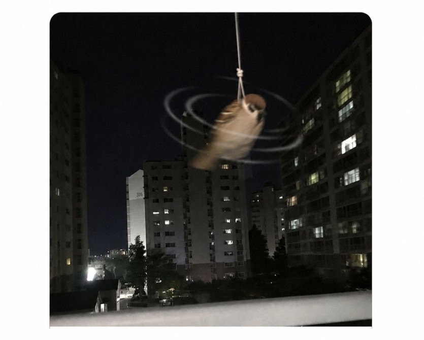 17841204090907.png