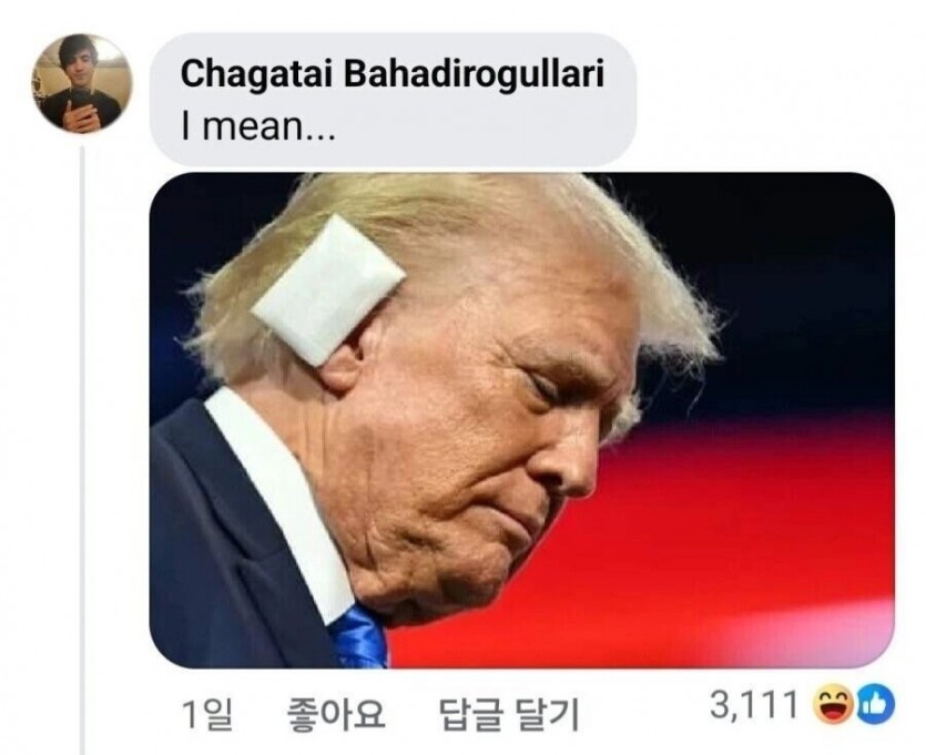 17847252441082.jpg