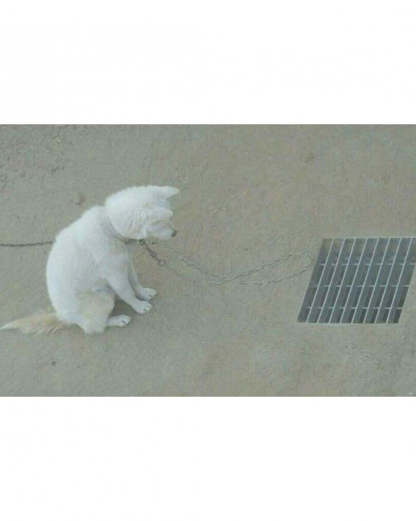 1786507268256.jpg