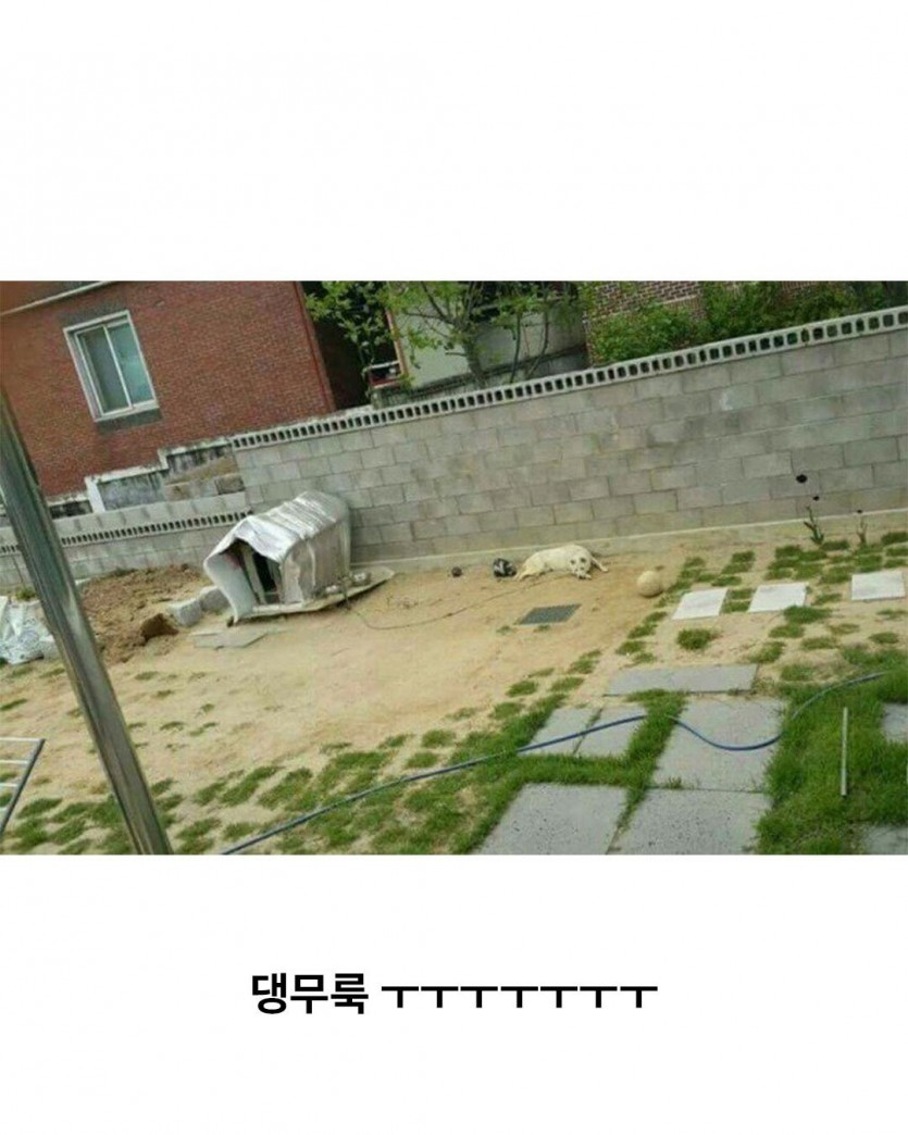 17865072695268.jpg