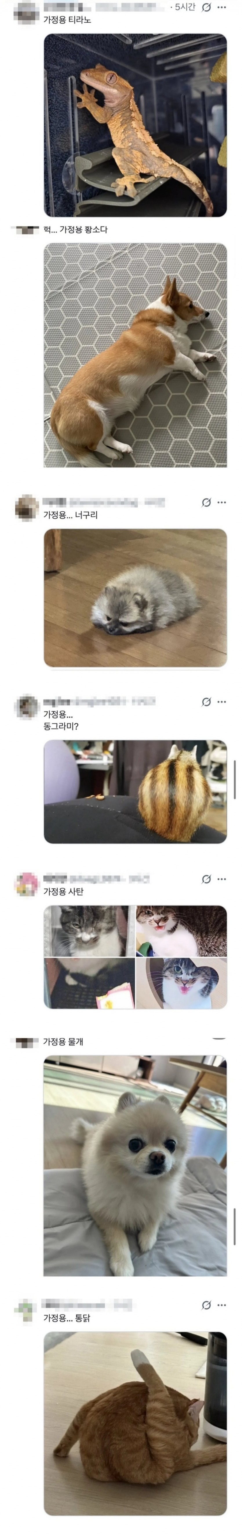 17883540380036.jpg