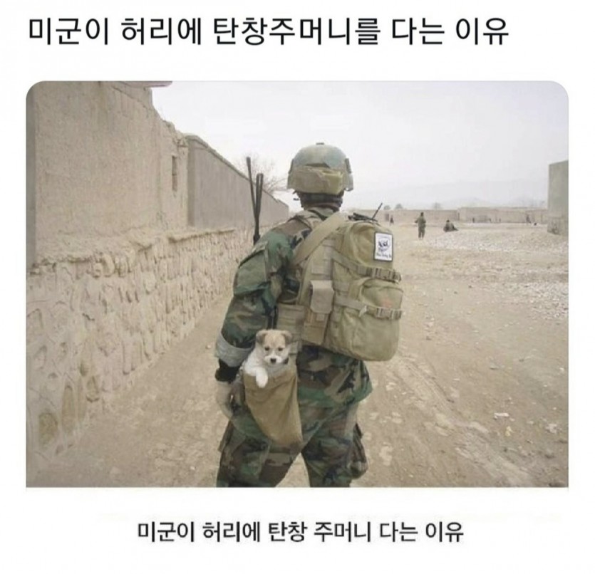 17885808575687.jpg