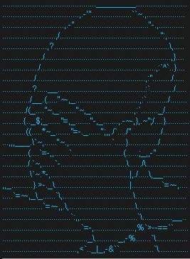 16859548844108.jpg