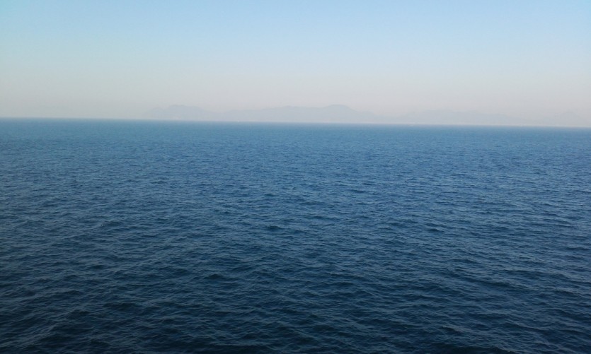 1685954452875.jpg