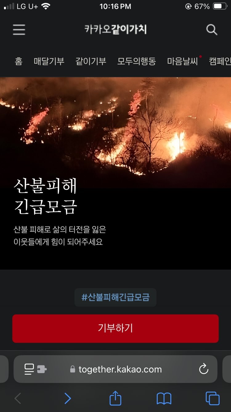 17430373475955.png