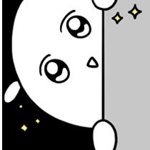 17437393330228.png