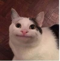 1747022559549.jpg