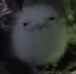 17470225598467.jpg