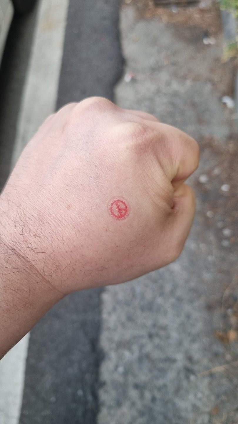 17484805404393.jpg
