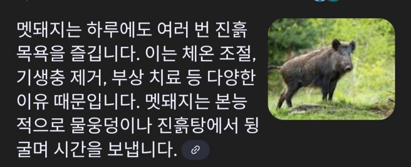 1752120150878.png