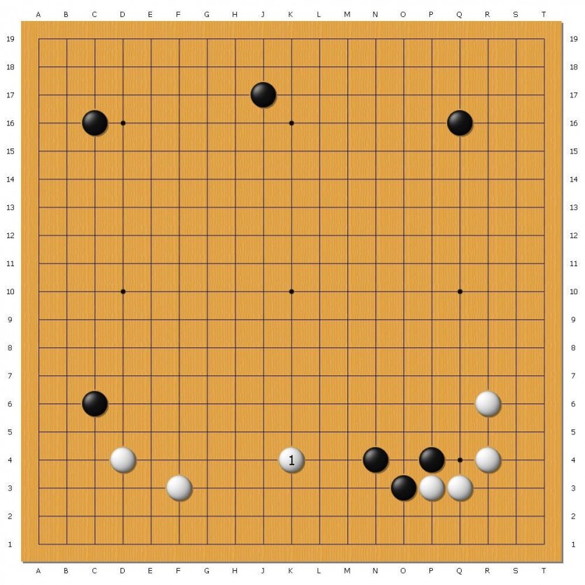 16859302825505.jpg